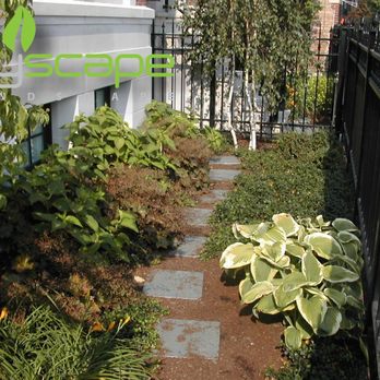 Cityscape Landscape - Landscaping Near Me - Chicago, Illinois Cityscape Landscape - Landscaping Near Me - Chicago, Illinois
