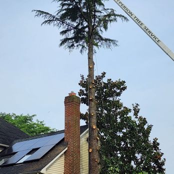 Hyperion Tree Service - Tree Services Near Me - Delran, New Jersey