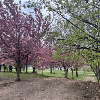 Branch Brook Park - Path with cherry blossoms and pond in the back - Parks Near Me - Newark, New Jersey