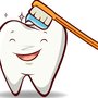 Photo of Elizabeth Miro, DDS