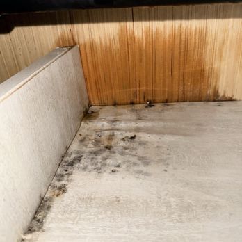 Noteboom RV - Water damage ABs growing mold - RV Repair Near Me - Harrisburg, South Dakota
