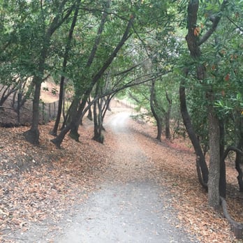 Martin Canyon Creek Trail - 8.2.15 morning - Hiking Near Me - Dublin, California