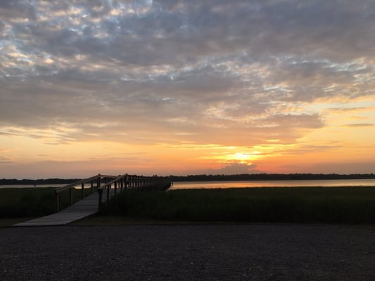 Lowndes Grove by null