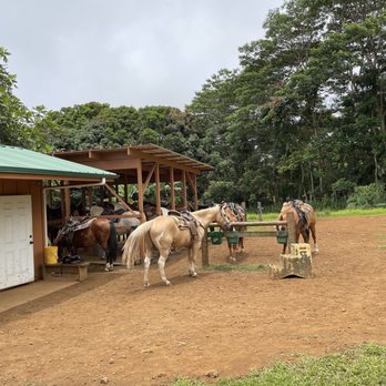 The Umauma Experience - Horseback riding experience - Ziplining Near Me - Hakalau, Hawaii The Umauma Experience - Horseback riding experience - Ziplining Near Me - Hakalau, Hawaii