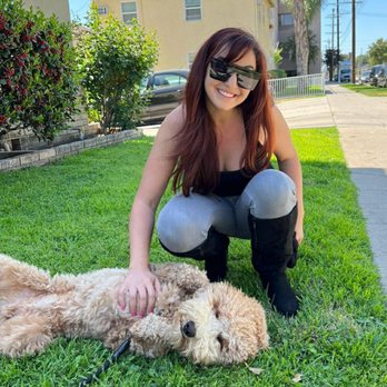Pawsitive Behavior LA - Tal and Sunny - Pet Training Near Me Pawsitive Behavior LA - Tal and Sunny - Pet Training Near Me