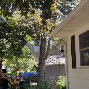 Fowler Tree Surgery - undefined - Firewood Near Me - Elgin, Illinois