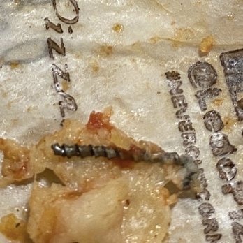 Ledo Pizza - The spiral screw/nail that was covered in cheese that I bit down on and spit out. - Pizza Near Me - North Potomac, Maryland Ledo Pizza - The spiral screw/nail that was covered in cheese that I bit down on and spit out. - Pizza Near Me - North Potomac, Maryland