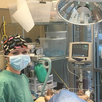 Village West Veterinary - A glimpse at surgery with Dr O'Reilly - Veterinarians Near Me - Chicago, Illinois Village West Veterinary - A glimpse at surgery with Dr O'Reilly - Veterinarians Near Me - Chicago, Illinois