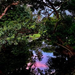 Falls of Inverrary - Pond on the property