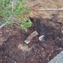 M & J Landscaping
