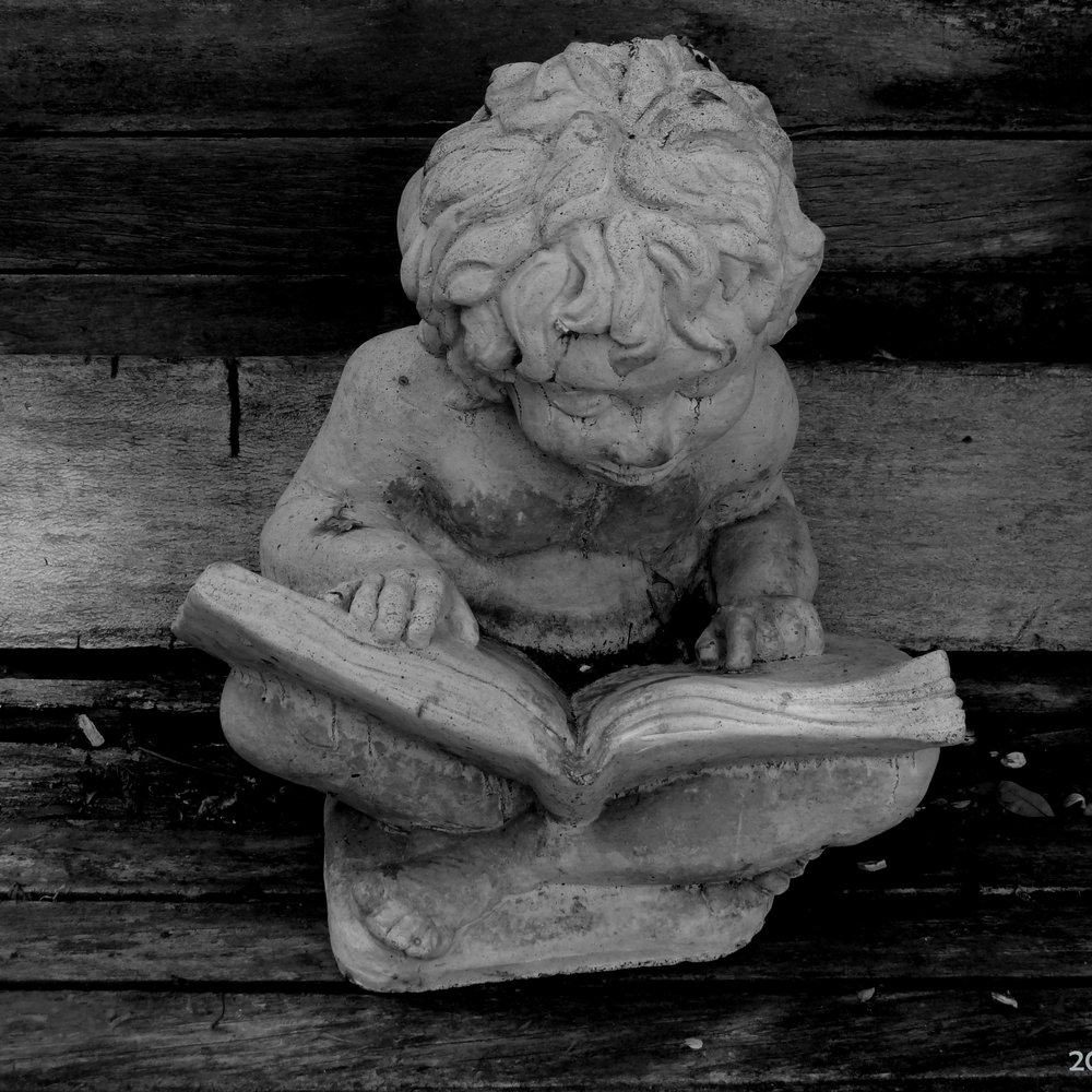 Oldest Wooden School House - This cherub is reading, very appropriate considering it's a school's grounds. - Landmarks & Historical Buildings Near Me - Saint Augustine, Florida Oldest Wooden School House - This cherub is reading, very appropriate considering it's a school's grounds. - Landmarks & Historical Buildings Near Me - Saint Augustine, Florida