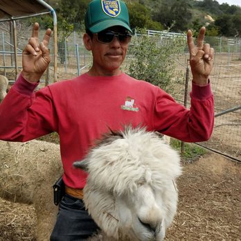 Canzelle Alpacas - Humberto, the ranch manager! - Farms Near Me - Carpinteria, California