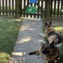 Animal Care Center