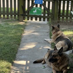 Animal Care Center - Margaret & Happy enjoying their kingdom