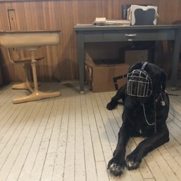 Poe reporting for training.