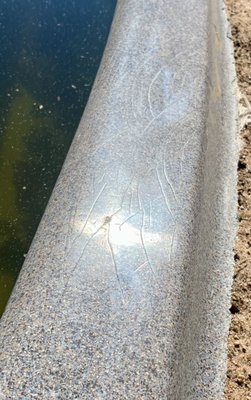 Granite Fiberglass Pools & Spas