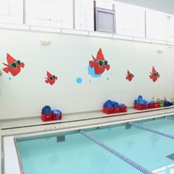Long Island Swim School - Long Island Swim School - Swim Lessons www.longislandswimming.com