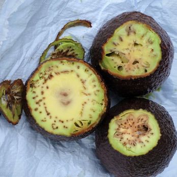 Grocery Outlet - Rotten avocados - Grocery Near Me - Bellevue, Washington Grocery Outlet - Rotten avocados - Grocery Near Me - Bellevue, Washington