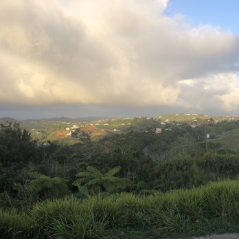 Asador San Miguel - View from the patio. - Latin American Near Me - Cedro Arriba, Puerto Rico Asador San Miguel - View from the patio. - Latin American Near Me - Cedro Arriba, Puerto Rico