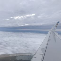 View over wing