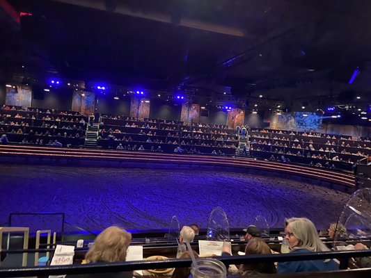 Dolly Parton's Stampede by null