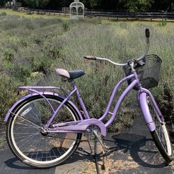 Dallas Lavender Lane Farm
