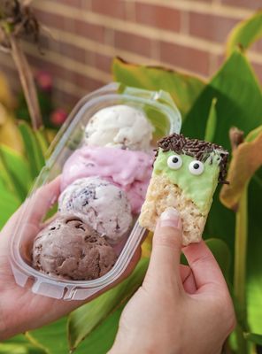 Jake's Ice Cream by null