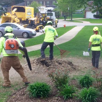 Dawsons Tree Service - Final cleanup. - Tree Services Near Me