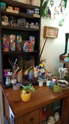 Ephemera - Plants, Terrariums and Comics by null