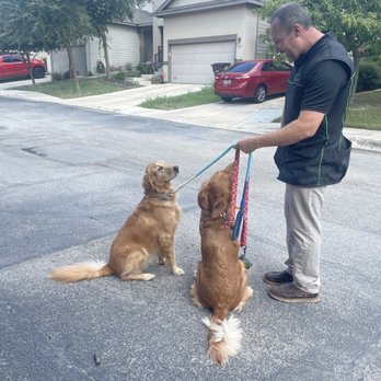 San Antonio Dog Training - Jonathan working with both our dogs at follow up lessons. - Pet Training Near Me - San Antonio, Texas San Antonio Dog Training - Jonathan working with both our dogs at follow up lessons. - Pet Training Near Me - San Antonio, Texas