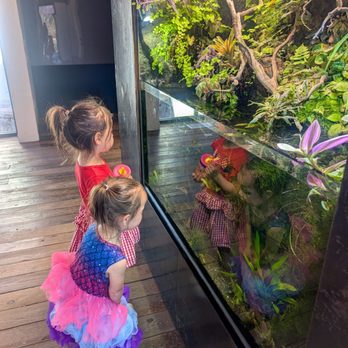 Science Mill - Many different aquatic animals to see. - Museums Near Me - Johnson City, Texas