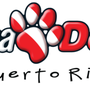 Photo of Scuba Dogs