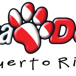 Scuba Dogs