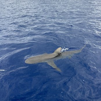 Grand Slam - Fishing Near Me - Haleiwa, Hawaii Grand Slam - Fishing Near Me - Haleiwa, Hawaii