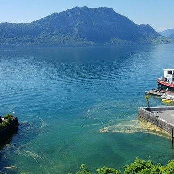SEEHOF HOTEL DU LAC - Hotels Near Me - Weggis, LU SEEHOF HOTEL DU LAC - Hotels Near Me - Weggis, LU