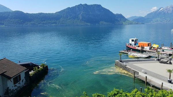 Seehof Hotel Du Lac / Restaurant Weggis by null