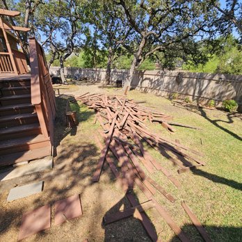 The Great Tree - Tree Services Near Me - San Antonio, Texas The Great Tree - Tree Services Near Me - San Antonio, Texas
