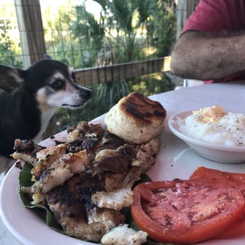 Annie's Cafe - Dog-friendly patio! - Sandwiches Near Me - Cedar Key, Florida