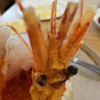 Sushi Enya - Pasadena - Deep fried shrimp head. Delicious. - Sushi Bars Near Me - Pasadena, California Sushi Enya - Pasadena - Deep fried shrimp head. Delicious. - Sushi Bars Near Me - Pasadena, California