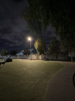 Reed Street Dog Park by null