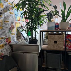 Yoglo Yogurt Fruit Mix - Interior
