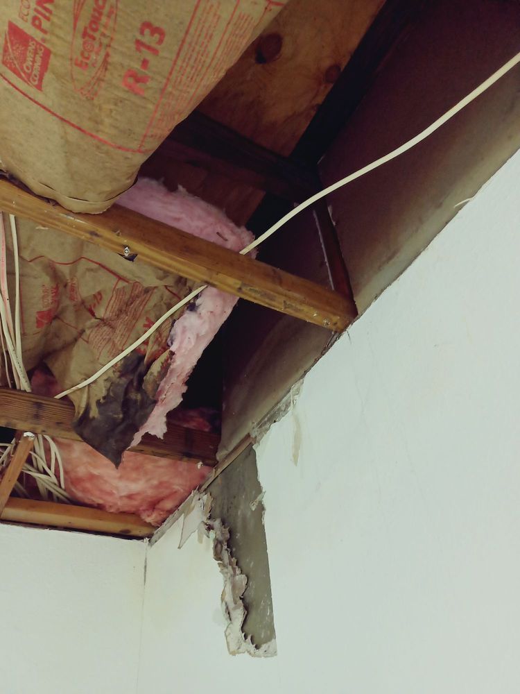 Slide of Remedy Roofing