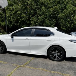 20% tint