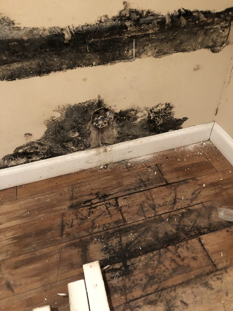 Slide of Pro-Touch Finishings