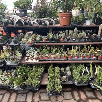 Bristol's Garden Center - Nurseries & Gardening Near Me - Victor, New York