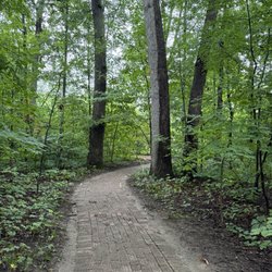 Oakhurst Gardens - Meandering paths