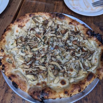 Gjelina - Mixed Mushroom pizza - New American Near Me - Venice, California Gjelina - Mixed Mushroom pizza - New American Near Me - Venice, California