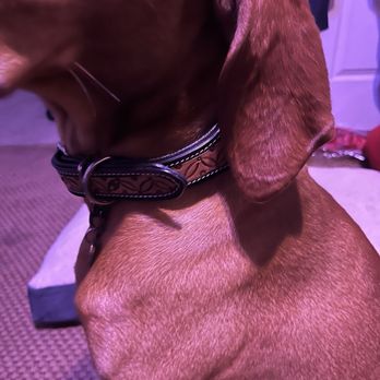 Hund N Kat Pet Boutique - Pet Stores Near Me - Solvang, California
