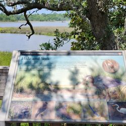 William M. Colmer Visitor Center - Bayou