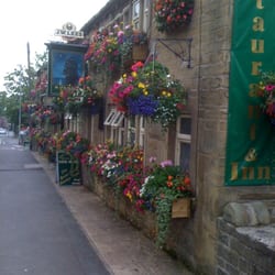 Morning Star Inn - The morning star in bloom. Flowers are out all year long